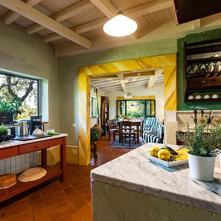 Vila La Torre - Fienile - Casa Prato By Interhome *